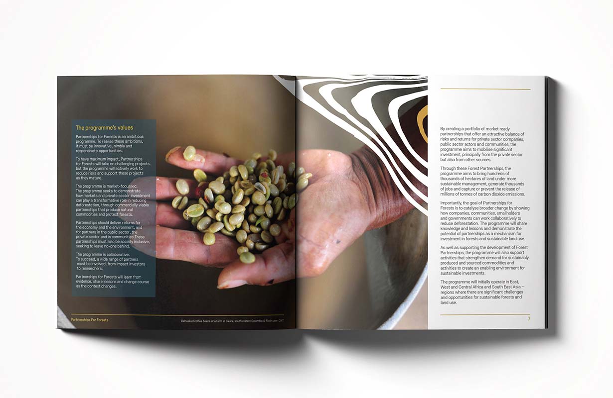 Example spread of a brochure design for Partnership for forests