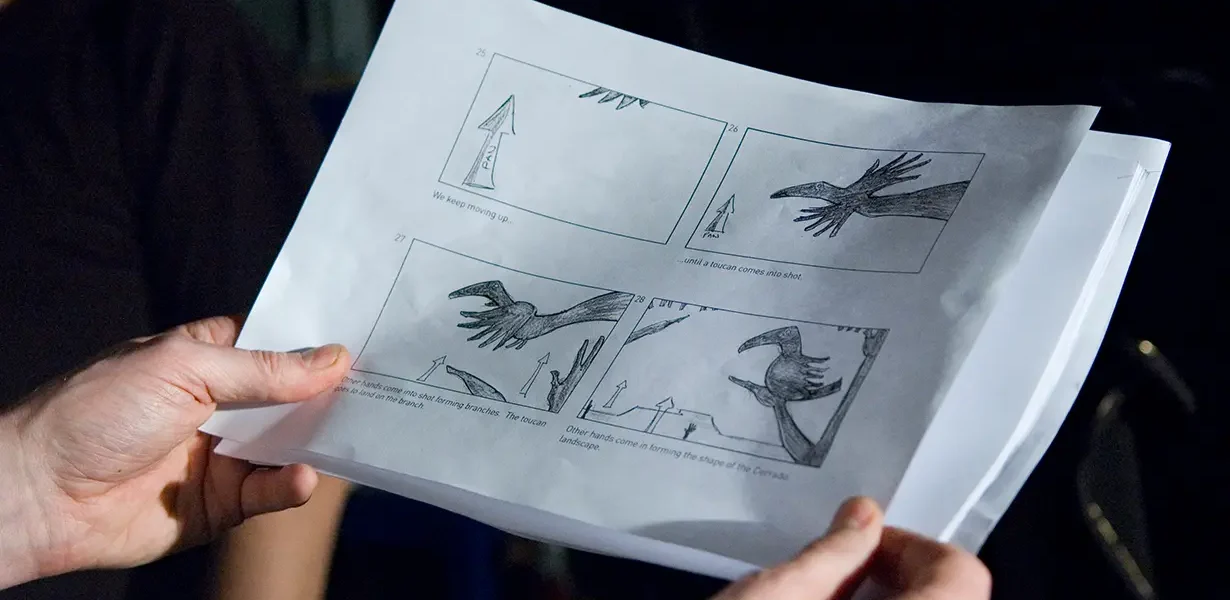A Neo animation storyboard showing scenes from Save the Cerrado for WWF